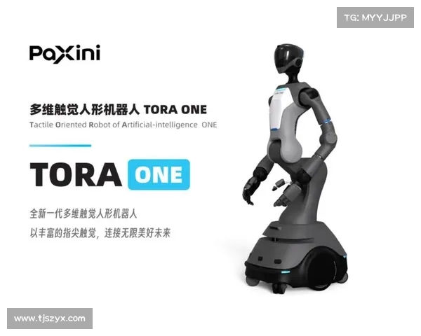 赋能机器人超级仿生手 实现如人类般精准灵活抓取技术突破